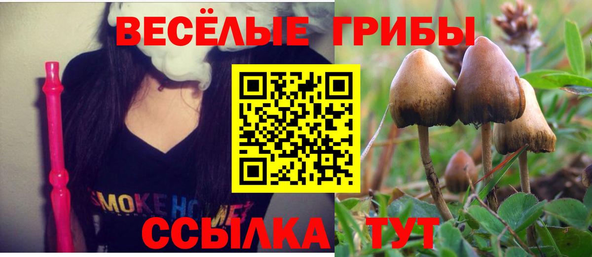 Псилоцибиновые грибы MAGIC MUSHROOMS Нижневартовск
