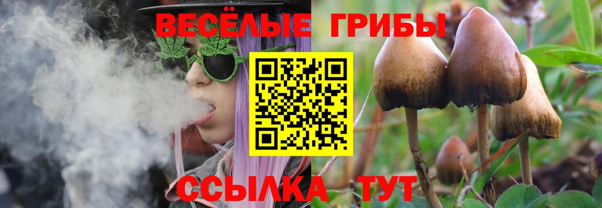 Галлюциногенные грибы Magic Shrooms  Вход с VPN  Нижневартовск 